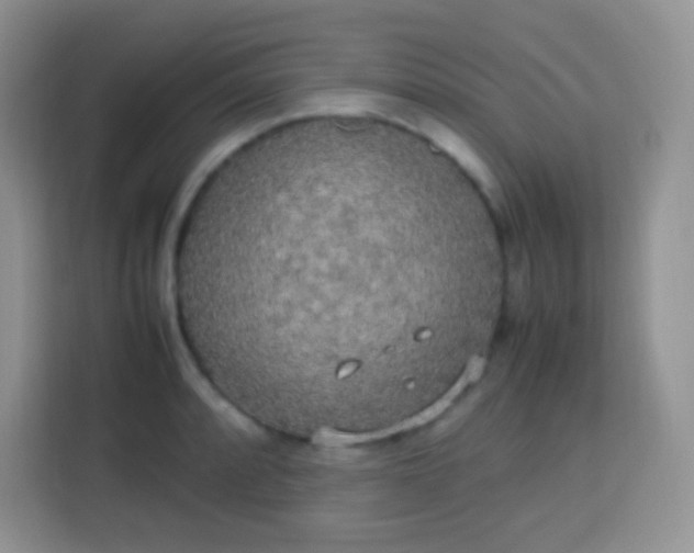 X0000113751088200910071101