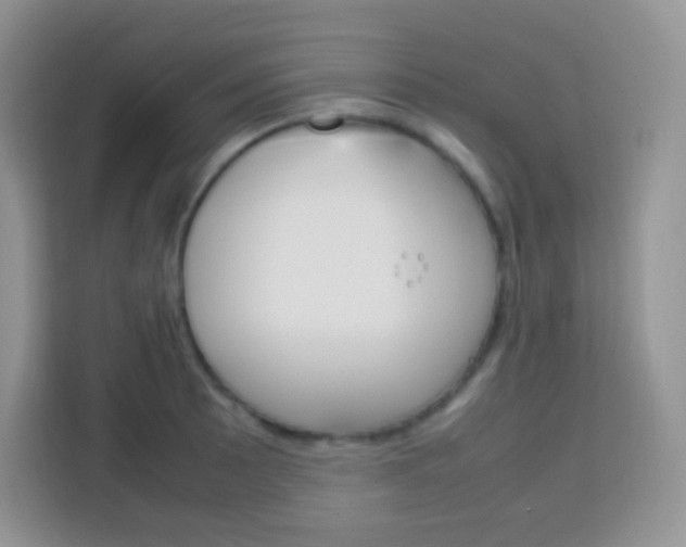 X0000113751089200910071101