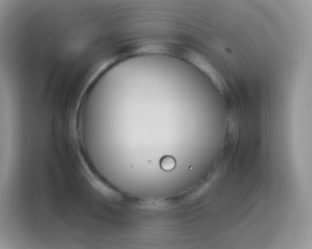 X0000113751090200910071101