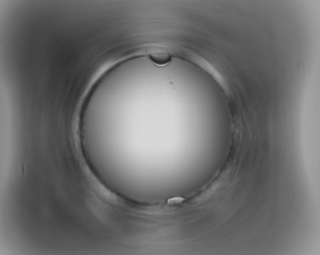 X0000113751091200910071101