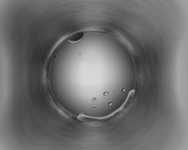 X0000113751092200910071101