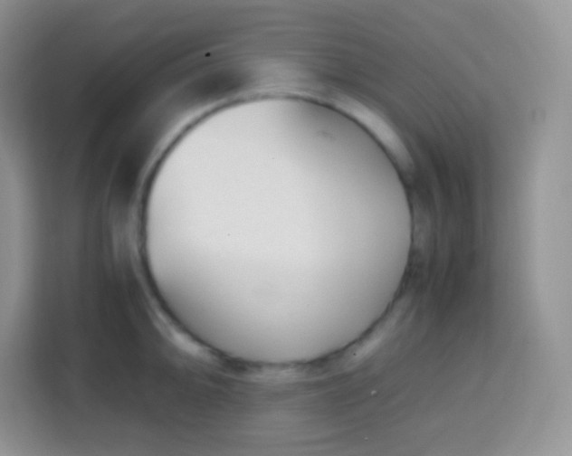 X0000113751094200910071101