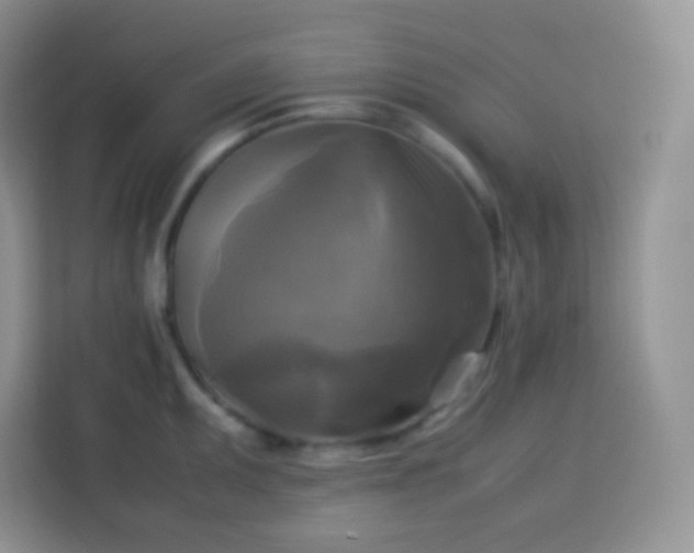 X0000113751095200910071101