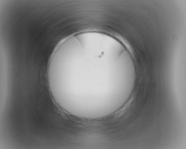 X0000113751097200910071101