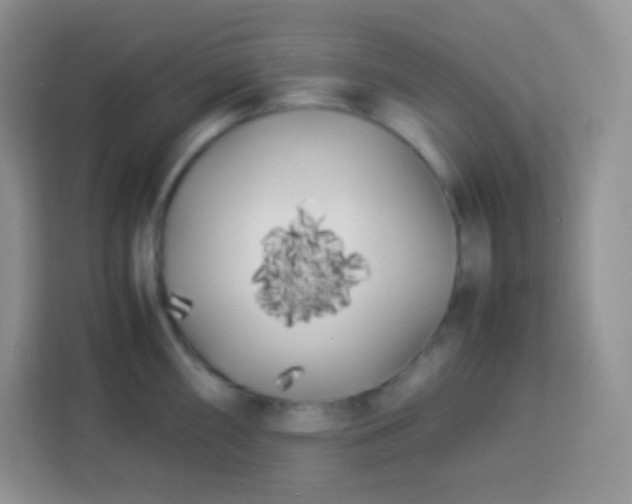 X0000113751098200910071101