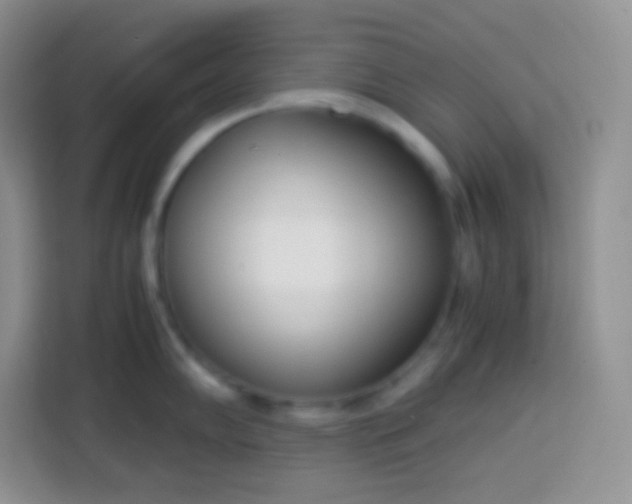 X0000113751102200910071101