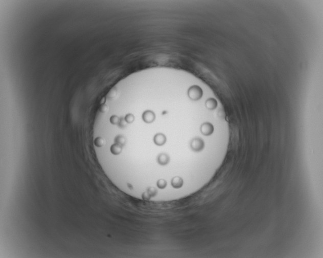 X0000113751105200910071100