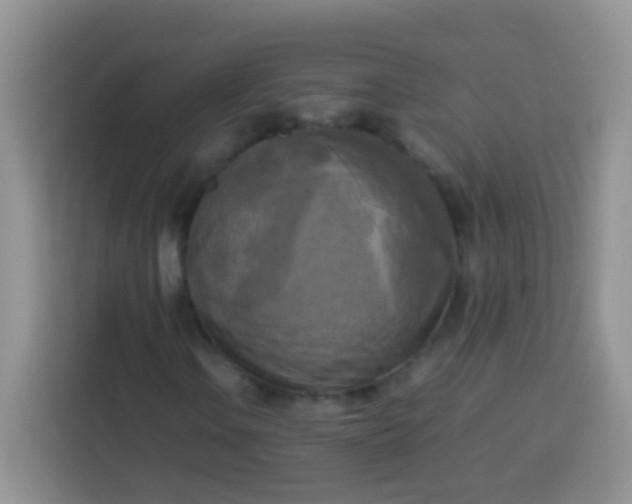 X0000113751106200910071100