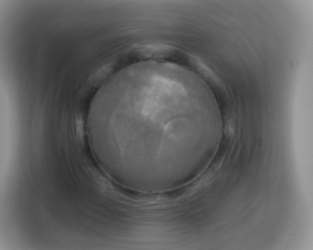 X0000113751108200910071100