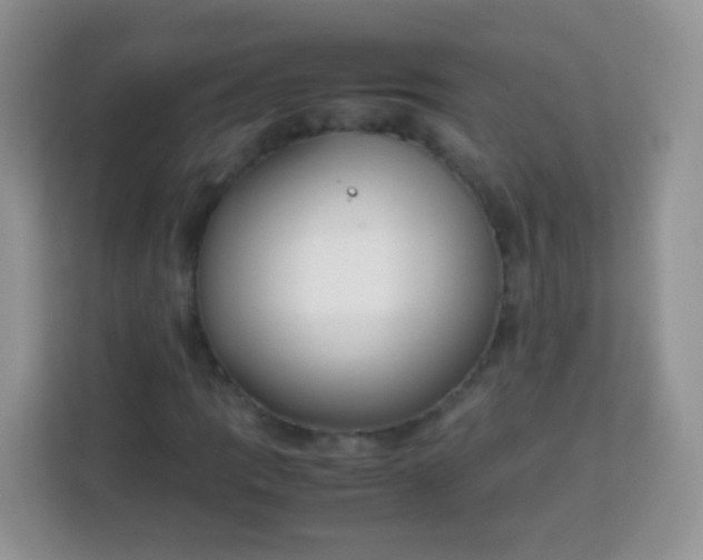 X0000113751109200910071100