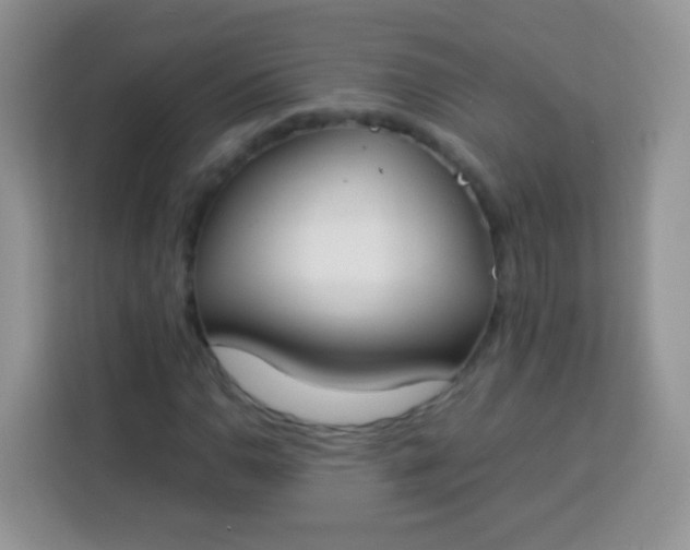 X0000113751110200910071100