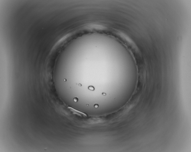 X0000113751112200910071100