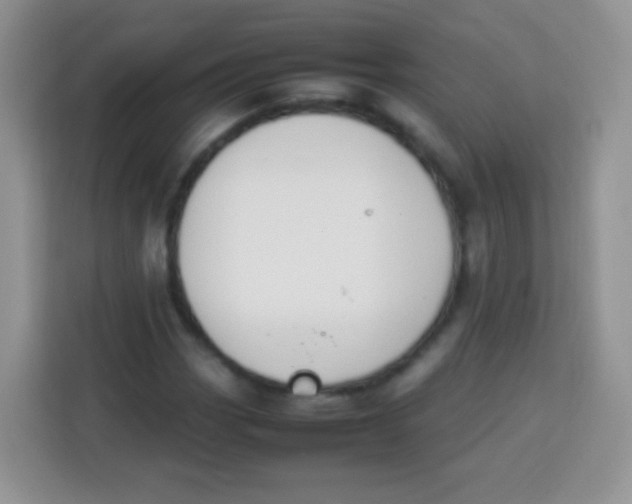 X0000113751113200910071100