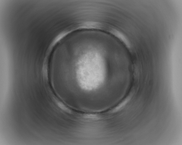 X0000113751114200910071100