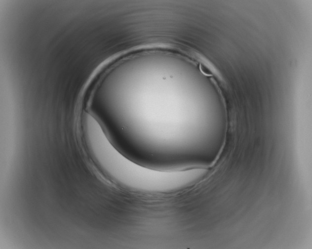 X0000113751116200910071100