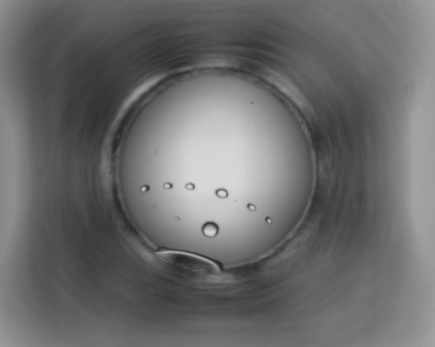 X0000113751119200910071100