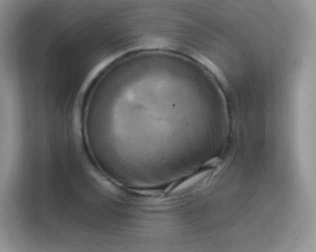 X0000113751120200910071100