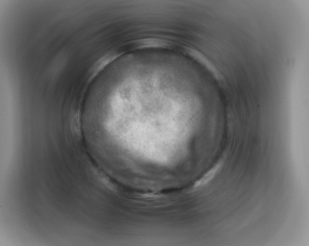 X0000113751121200910071100