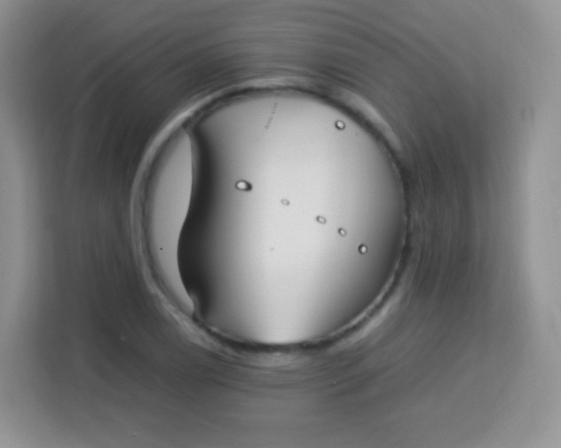 X0000113751122200910071100