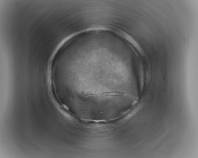 X0000113751124200910071100