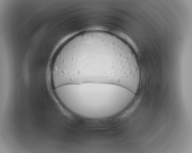 X0000113751125200910071100