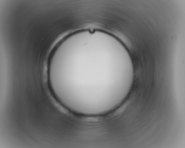 X0000113751126200910071100