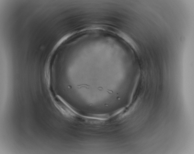 X0000113751127200910071100