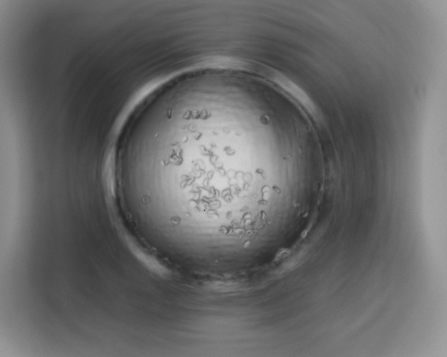 X0000113751128200910071100