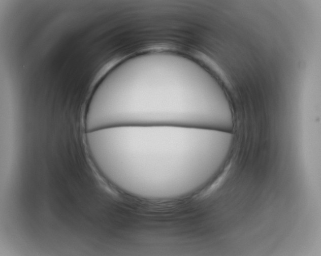 X0000113751129200910071101