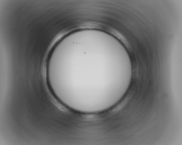 X0000113751130200910071101