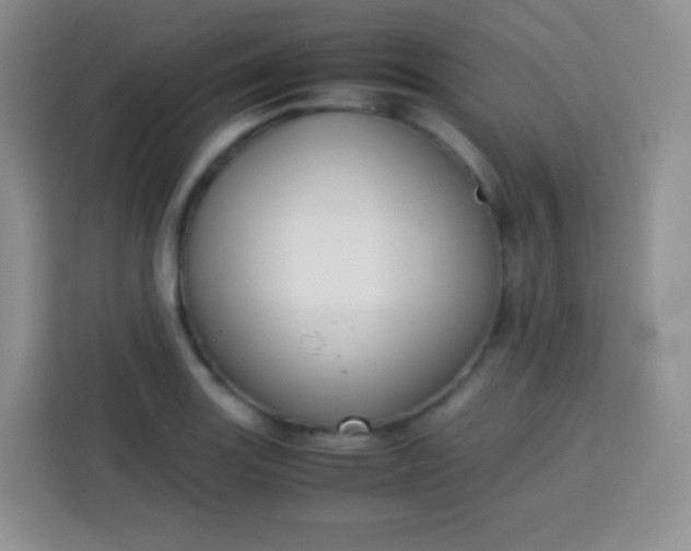 X0000113751131200910071101