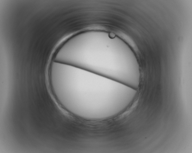 X0000113751133200910071101