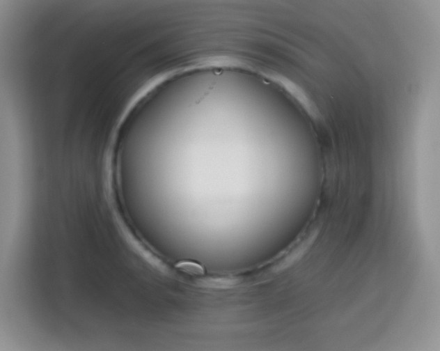 X0000113751134200910071101