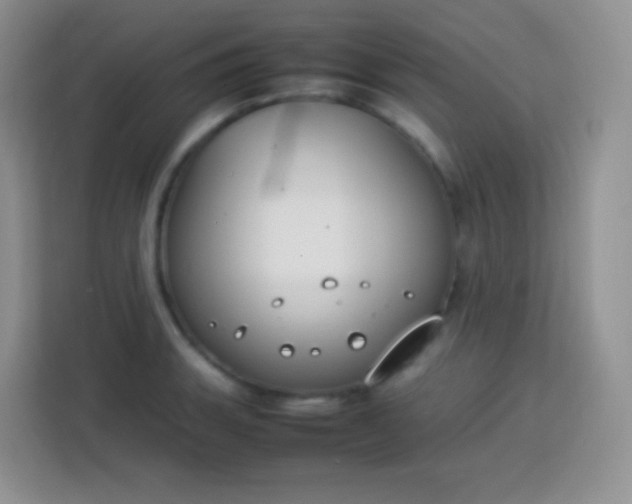 X0000113751135200910071101