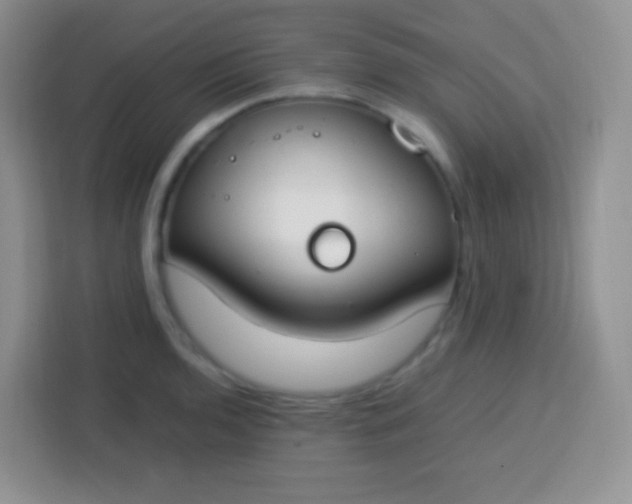 X0000113751136200910071101