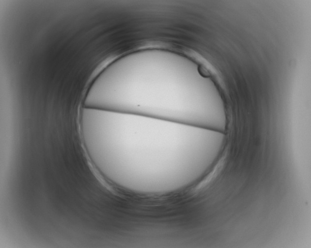 X0000113751137200910071101