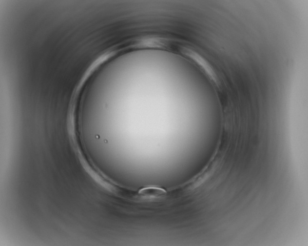 X0000113751139200910071101