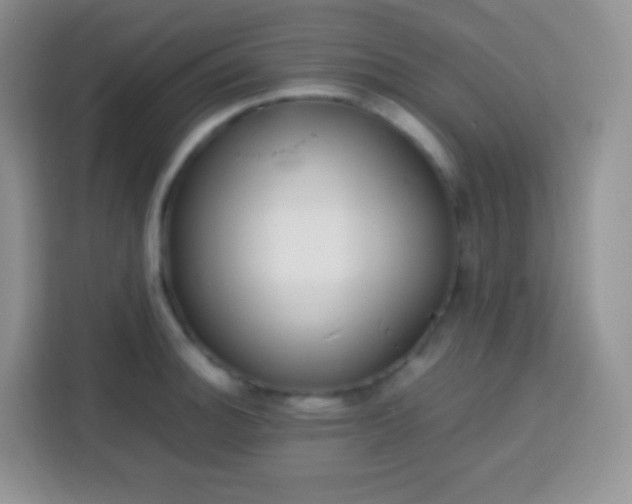 X0000113751140200910071101