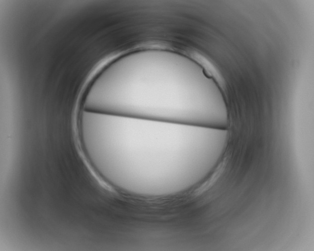 X0000113751141200910071101