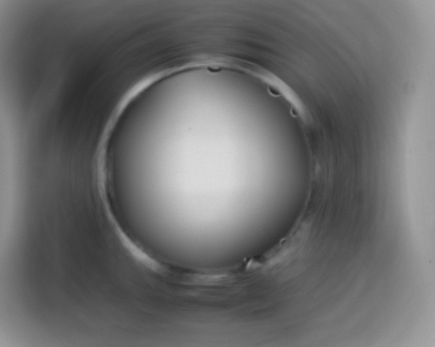 X0000113751143200910071101