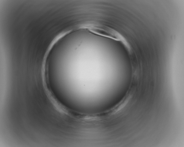 X0000113751146200910071101