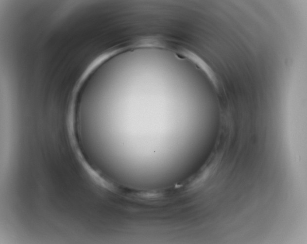 X0000113751147200910071101