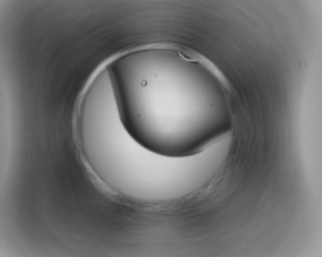 X0000113751148200910071101