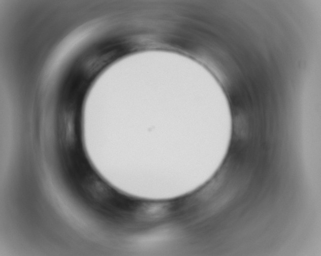 X0000113751150200910071101