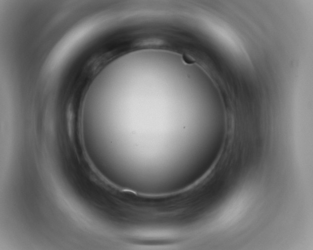 X0000113751151200910071101