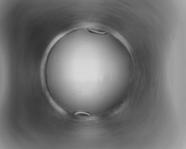 X0000113751152200910071101