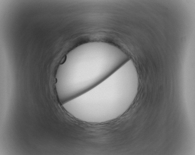 X0000113751153200910071100