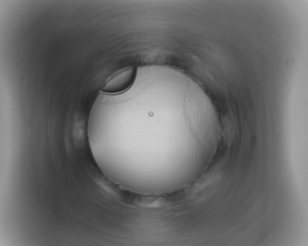 X0000113751154200910071100