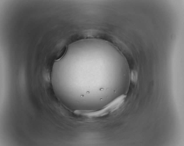 X0000113751155200910071100