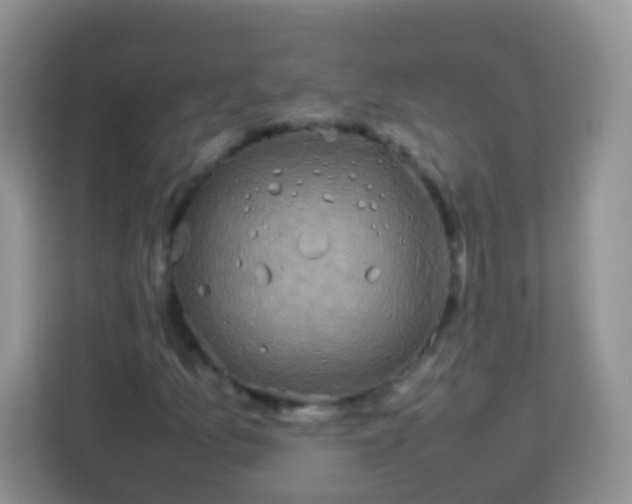 X0000113751157200910071100